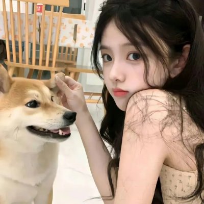 同志音乐会